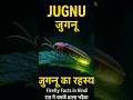जुगनू का रहस्य | Firefly Facts in Hindi | रात में चमकने वाला कीट #shorts #facts #yt