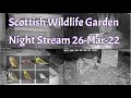 Night Stream March 26th 2022 | Bird Feeders, Wildlife Cameras Scotland UK from SWG