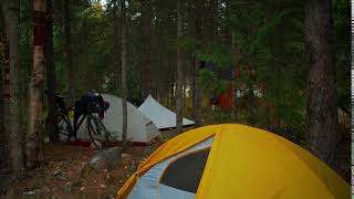 Tent, Camping, Forest, Campsite Stock Video Footage