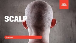 Scalp anatomy - anatomy - layers - blood supply - dear doctor