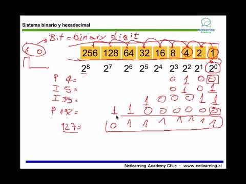 8. Conversión de sistemas binario, decimal y hexadecimal