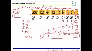 8. Conversión de sistemas binario, decimal y hexadecimal