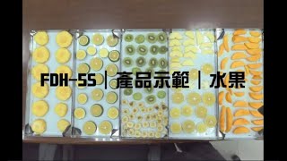真空冷凍乾燥機｜產品示範｜水果 