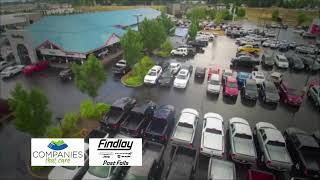 Player Profile Findlay Co That Care