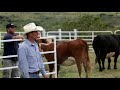 Ranching on the Mexican Border