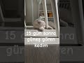 #sun #güneş #kedivideoları #cat #komikkedivideoları #catshorts #kedi #kedivideosu #dünya #antalya