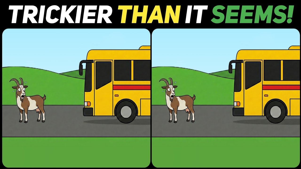 These 3 Differences Are Hard to Spot – Can You Do It?🔥