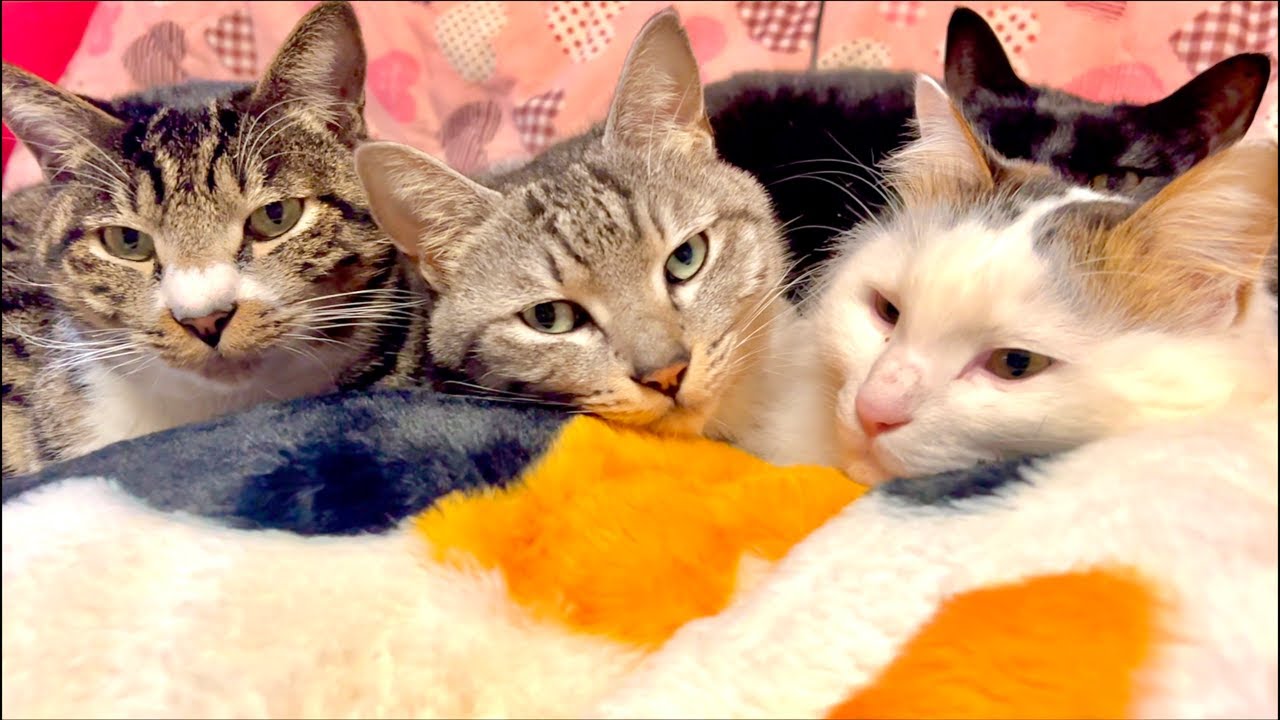 久しぶりの生中継と大切なお知らせ