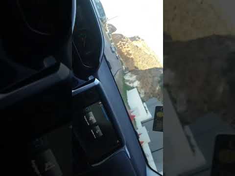 ظهور مخلوق غريب في لاكورنيش وهران 