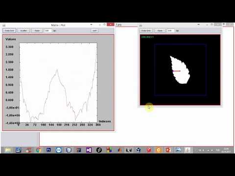 leaf recognition feature extraction