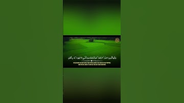 Surah Al hujuraat -  سورة الحجرات Syekh Hani Ar-Rifa'i- @voice_ofguidance
