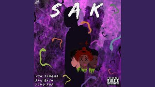 Back in Time (feat. Mello Oowee) - SAK Rvch, Yung Pup, & Ysn Slugga