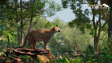 CAW Creature Animation Workshop work Prasad