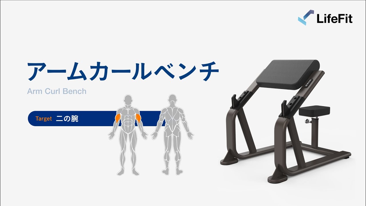 BodySolidのジムユースのプリチャーベンチ アームカール 腕を鍛える BodySolidのジムユースのプリチャーベンチ アームカール 腕を