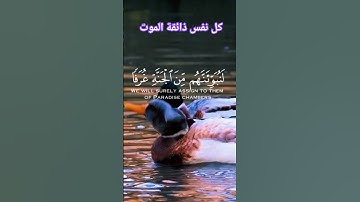 كل نفس ذائقة الموت:تلاوة خاشعة لإسلام  صبحي#chorts