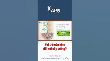 APN - Vai trò của kẽm đối với cây trồng?