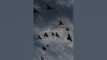 تلاوة صادحة من سورة النحل | الشيخ ناصر القطامي
