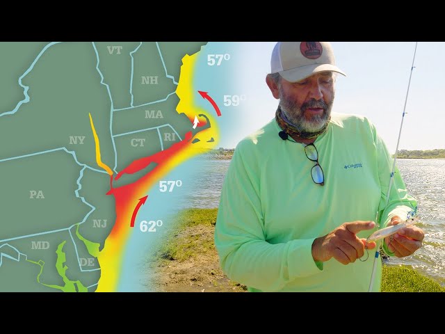 Tackle Direct: 🎣 NEW VIDEO: Striper and Snook Fishing with Patrick Sébile