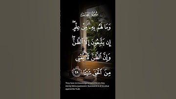 سورة النجم ومالهم به من علم إن يتبعون إلا الظن وإن الظن لا يغني من الحق شيئا الاية ٢٨