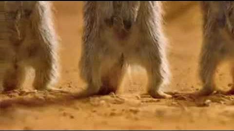 Pepsi Lionel Messi 2010 [from www.metacafe.com].flv