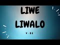 Vijana Barubaru Liwe Liwalo Official Lyrics Vijanabarubaru mp3
