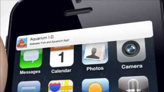 Saltwater Fish and Aquarium Guide screenshot 3