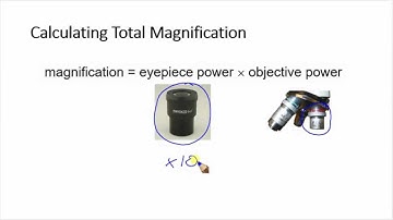 Calculating total magnification