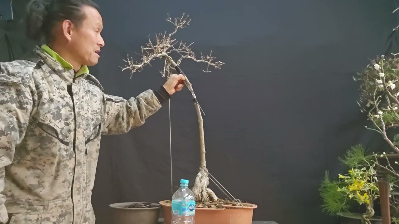 겨울 에도 취목 을 하지요.