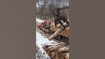 Forestry Empire - Loading trucks and throwing logs #forestry #logging #shorts #oregon #logs #harvest