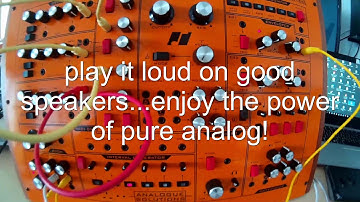 The great Analogue Solutions Fusebox Synthesizer: Arpeggiated Demo