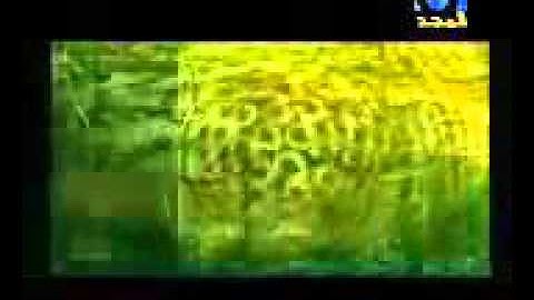 سورة يس بصوت القارئ الشيخ زهير الحلاق