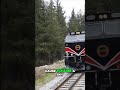 White Pass Train Through Yukon’s Snowy Mountains! #AdventureTravel #ScenicTrain #Travel2025 #travel