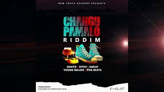 Changu Pamalo Riddim Teaser New Touch Records