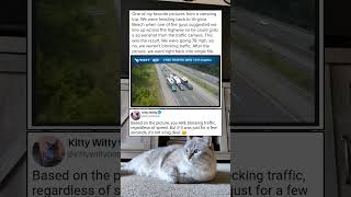 Someone actually organized a highway traffic photoshoot