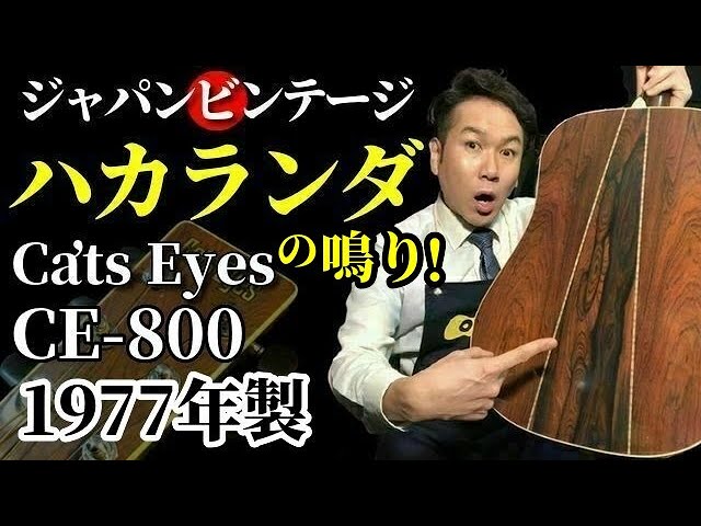 豪華ハカランダ【Cat's Eyes CE-800】1977年製 東海楽器 ジャパン 