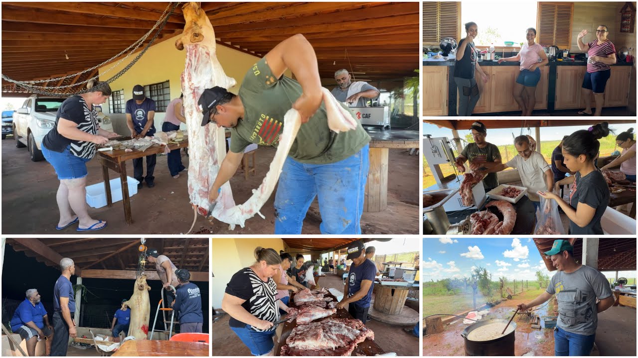 DIA DE FESTA NA ROÇA!! CARNEANDO NOSSO PORCO DE 10 ARROBAS| FARTURÃO 🙏🏼🙏🏼
