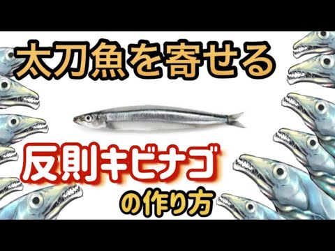 太刀魚を寄せる反則キビナゴ の作り方(身持ち劇的アップで、ノーシンカーと高相性)