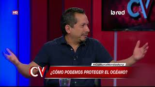 ¿Cómo podemos proteger el océano?