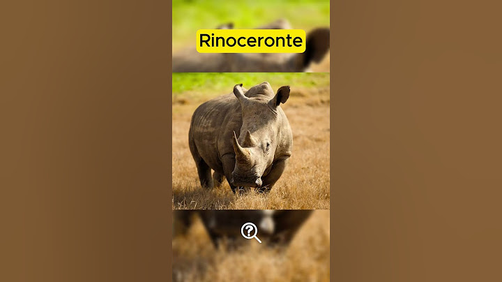i 5 animali che si estingueranno entro il 2050😢 #shorts #animali #estinzione