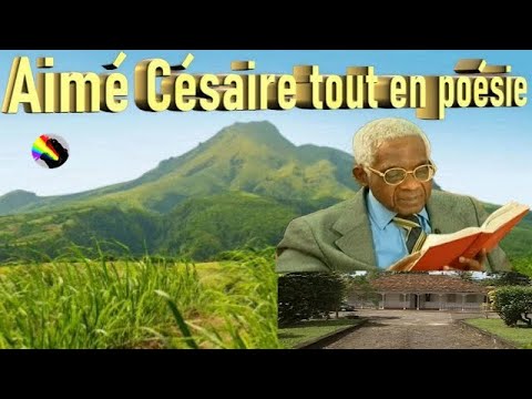 Vidéo: Jeux Cruels De Conscience De Soi : 