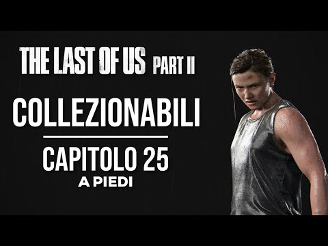 Video: The Last Of Us Parte 2 - A Piedi: Spiegazione Di Tutti Gli Elementi E Di Come Esplorare Tutte Le Aree