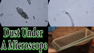 Dust Under A Microscope