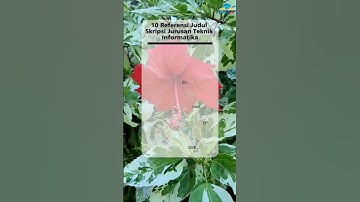 10 Referensi Judul Skripsi Jurusan Teknik Informatika
