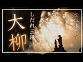 しだれ三段大柳 in 松江水郷祭~weeping willow~