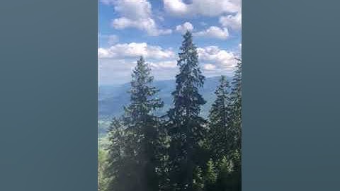 قرائه هادئة من سورة يس للشيخ ماجد العويري