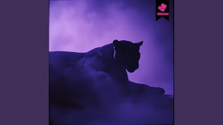 Dark Velvet Dreams