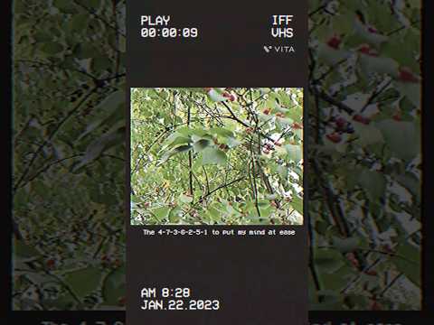 Retro effect from: VITA