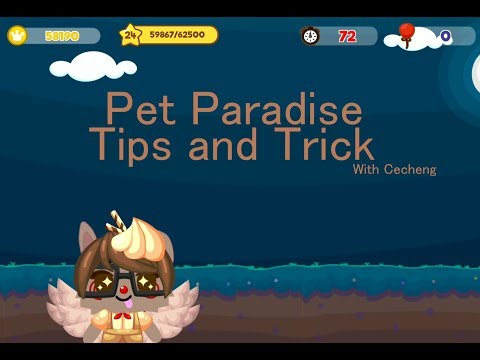 PET PARADISE Tips And Trick #1 Earn Gold And Exp Fast