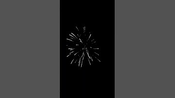 5" Display Shell firework