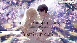 Reason (lyrics) (calum scott ...
